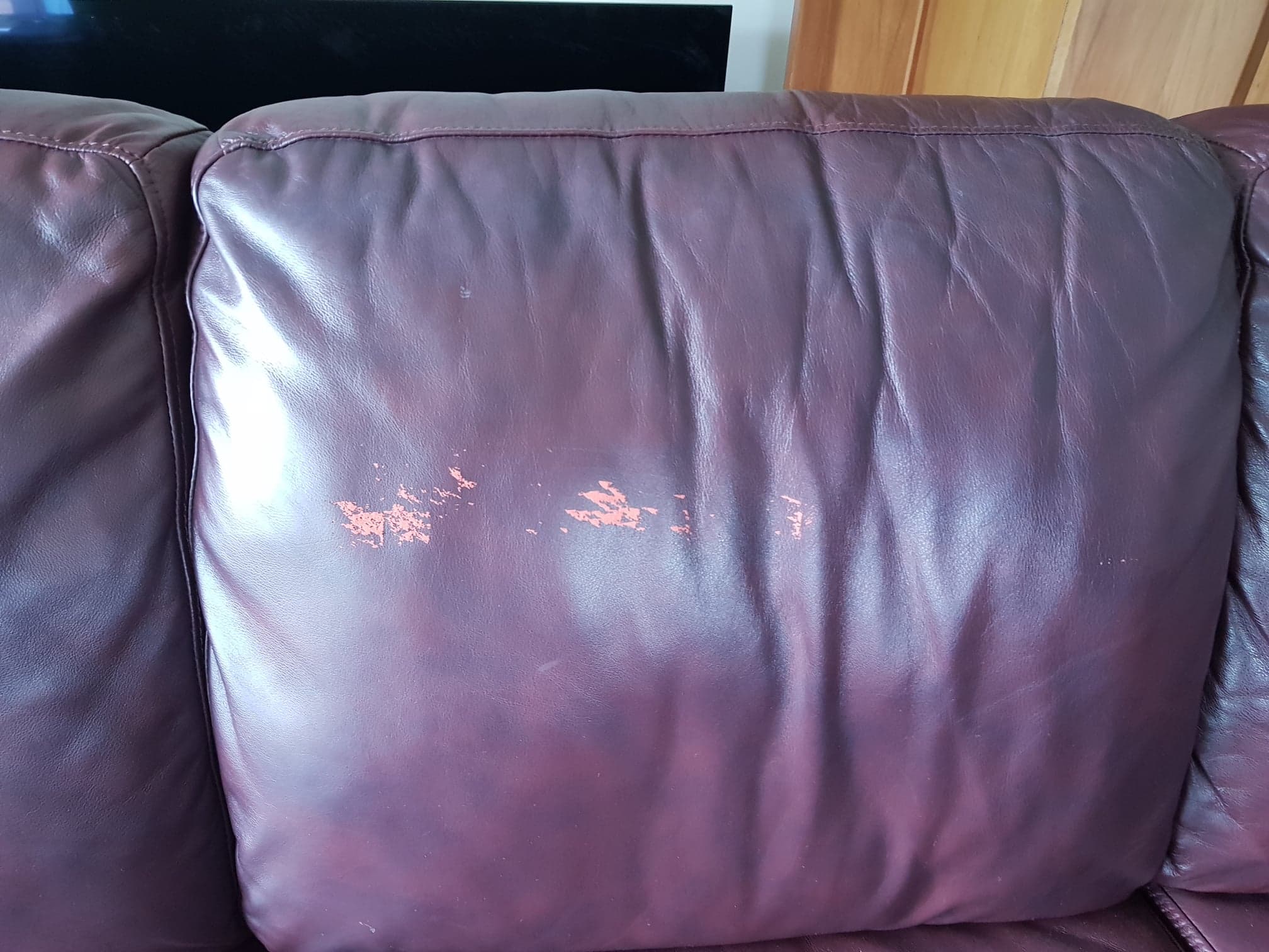 Damaged couch