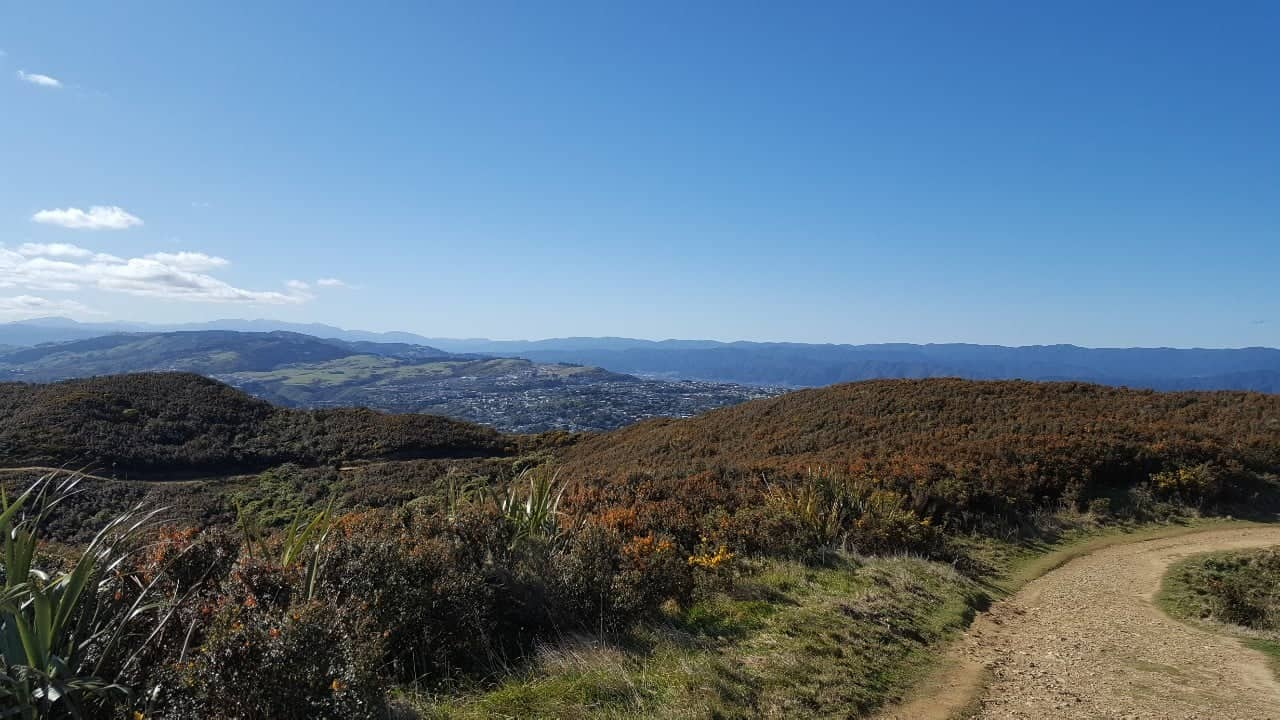 Alternative way to Mt Kaukau