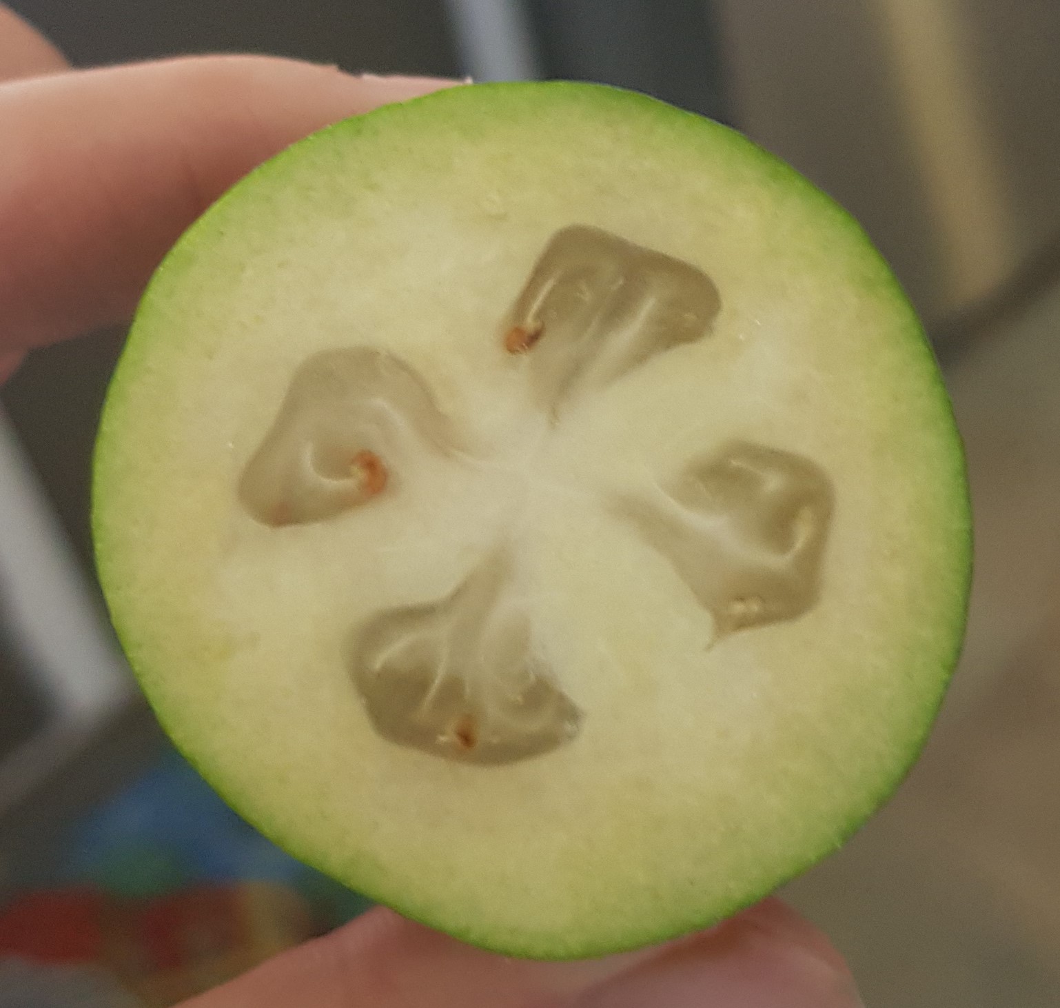 Feijoa 2