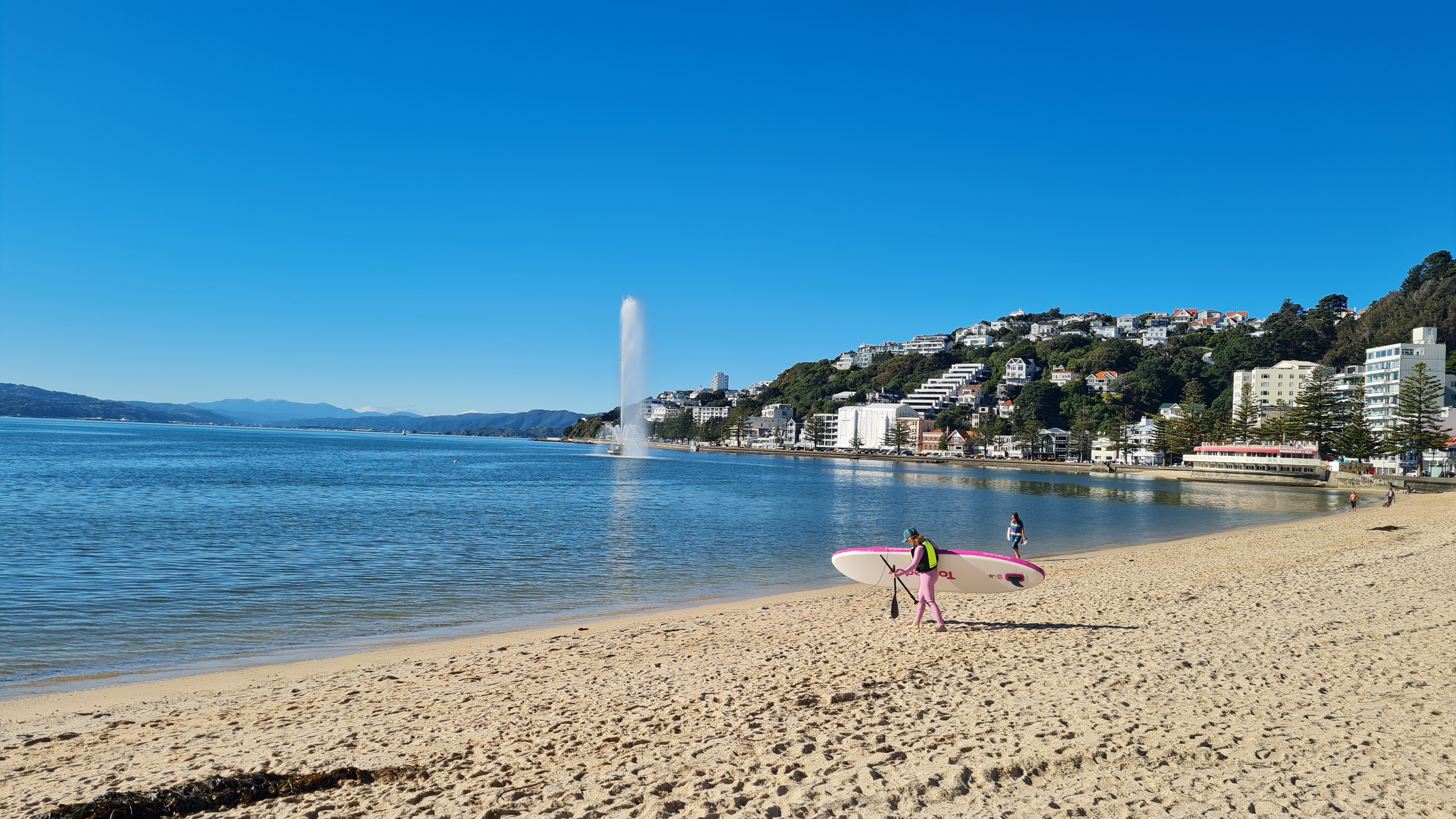 Oriental bay2