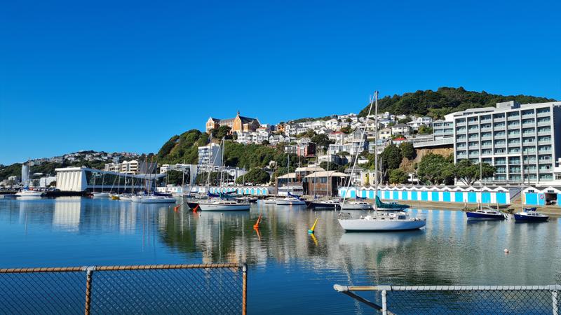 オススメのビーチ　My favorite beaches in Wellington